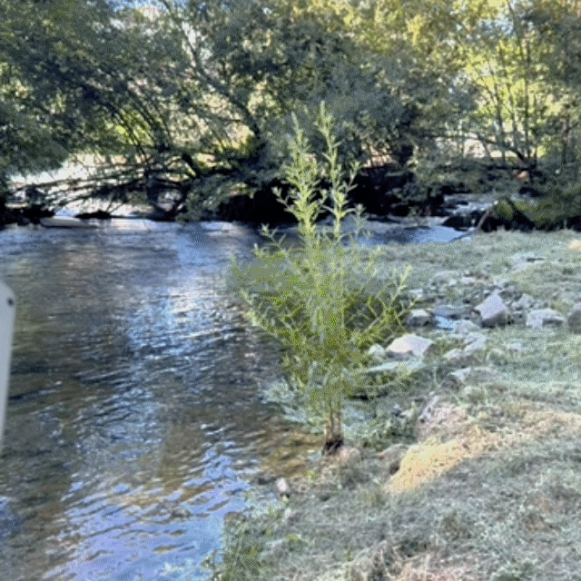 Kamera Wędkarska FishSight