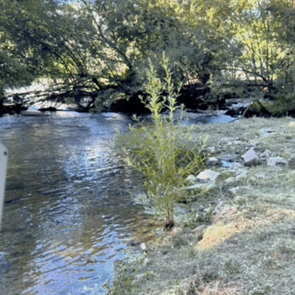 Kamera Wędkarska FishSight